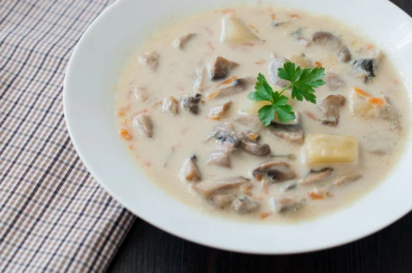 Plate of vegetarian mushroom soup — Stock Photo, Image