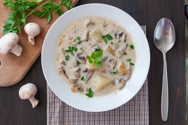 Plate of vegetarian mushroom soup — Stock Photo, Image