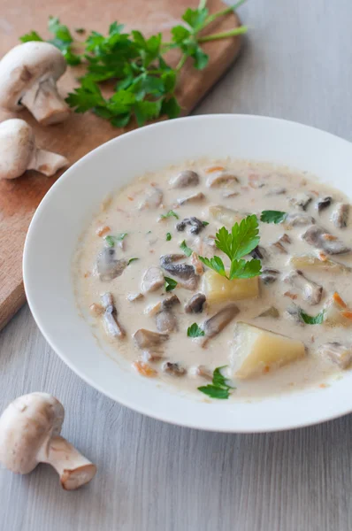 Plate of vegetarian mushroom soup — Stock Photo, Image