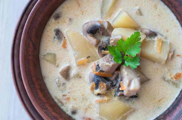 Bowl of vegetarian mushroom soup — Stock Photo, Image