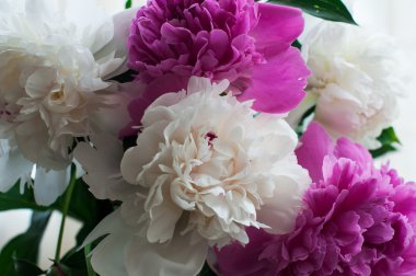 ahşap arka plan üzerinde beyaz ve pembe peonies