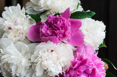 ahşap arka plan üzerinde beyaz ve pembe peonies
