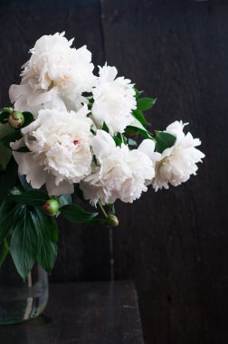 Rustik ahşap arka plan üzerinde beyaz peonies çarpıcı