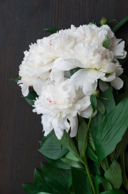 Rustik ahşap arka plan üzerinde beyaz peonies çarpıcı