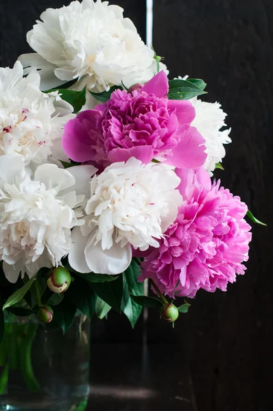 Vitt och rosa pioner på trä bakgrund — Stockfoto