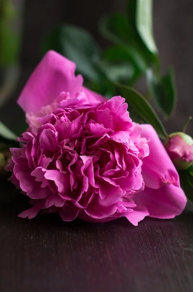 Peonías rosadas sobre fondo rústico de madera — Foto de Stock