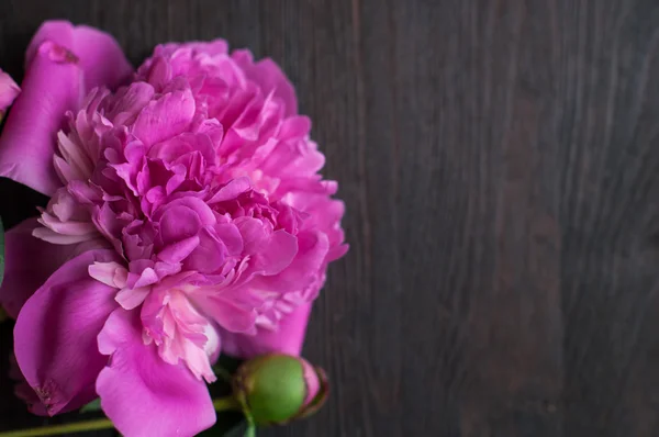 Ροζ peonies σε ρουστίκ ξύλινα φόντο — Φωτογραφία Αρχείου