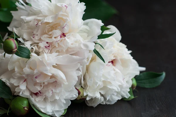 Prachtige witte pioenrozen op rustieke houten achtergrond — Stockfoto