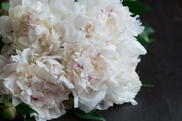 Prachtige witte pioenrozen op rustieke houten achtergrond — Stockfoto