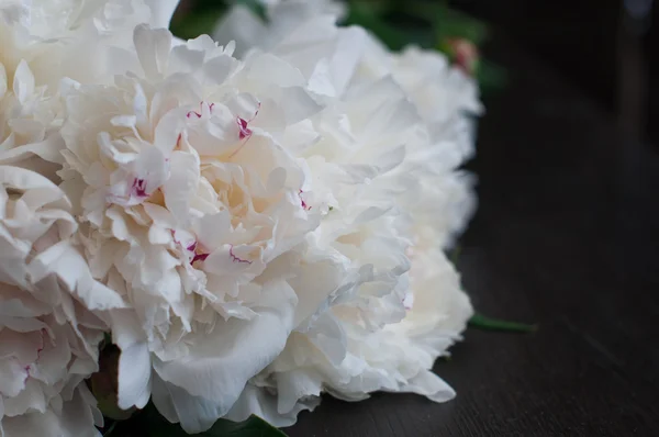 Superbes pivoines blanches sur fond de bois rustique — Photo