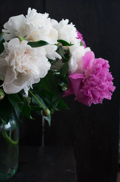 Vitt och rosa pioner på rustika trä bakgrund — Stockfoto