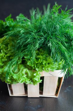 Marul, nane, dereotu ve maydanoz ile çeşitli taze yeşillik