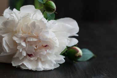 Rustik ahşap arka plan üzerinde beyaz peonies çarpıcı