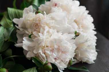 Rustik ahşap arka plan üzerinde beyaz peonies çarpıcı