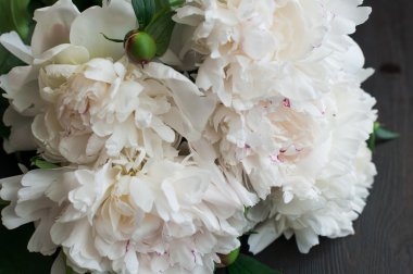 Rustik ahşap arka plan üzerinde beyaz peonies çarpıcı