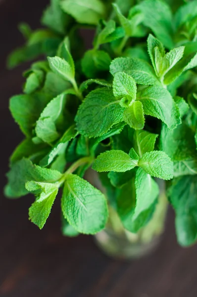 Fresh mint leaves on a wooden background — Stock Photo, Image