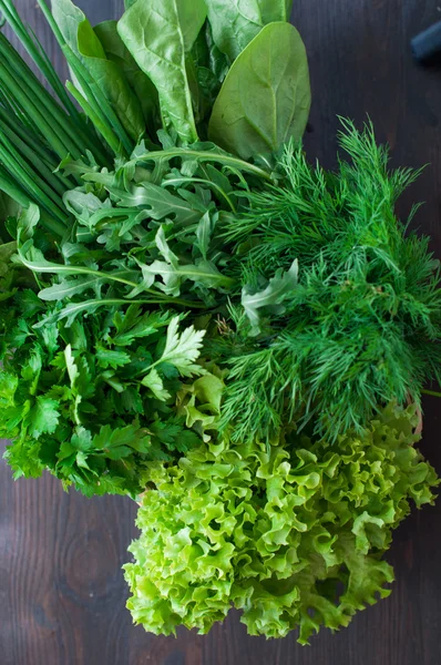 Varias verduras frescas con lechuga, menta, eneldo y perejil —  Fotos de Stock