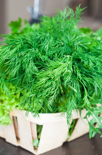 Varias verduras frescas con lechuga, menta, eneldo y perejil — Foto de Stock