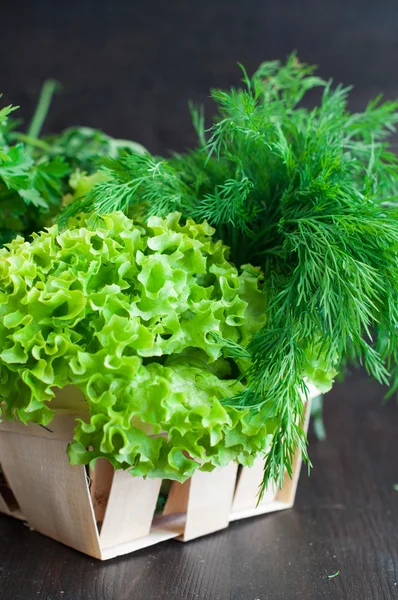 Vari verdi freschi con lattuga, menta, aneto e prezzemolo — Foto Stock
