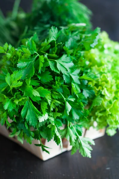 Various Fresh Greens with Lettuce, Mint, Dill and Parsley — Stock Photo, Image