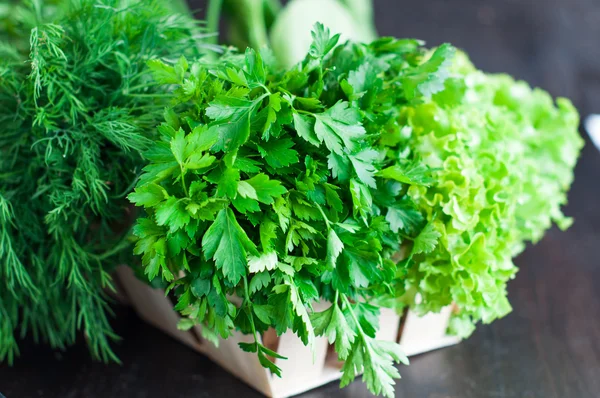 Varias verduras frescas con lechuga, menta, eneldo y perejil — Foto de Stock