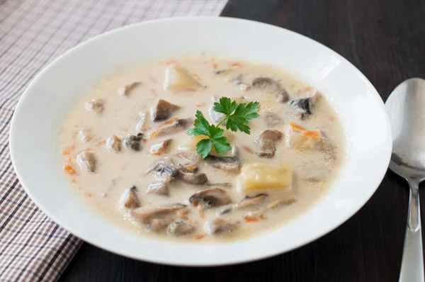 Plate of vegetarian mushroom soup — Stock Photo, Image