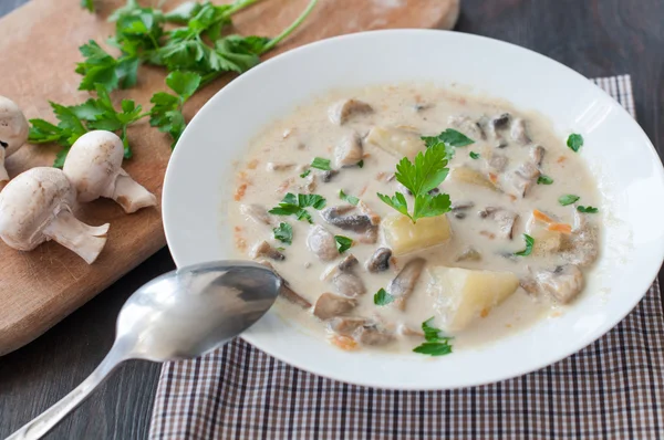 Plate of vegetarian mushroom soup — Stock Photo, Image