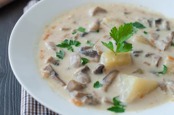 Plate of vegetarian mushroom soup — Stock Photo, Image