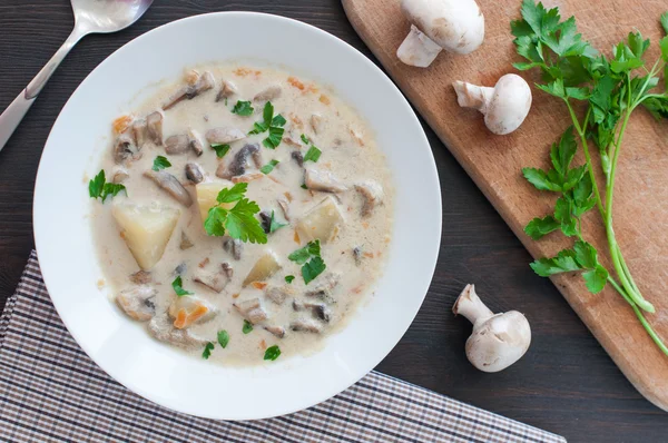 Plate of vegetarian mushroom soup — Stock Photo, Image