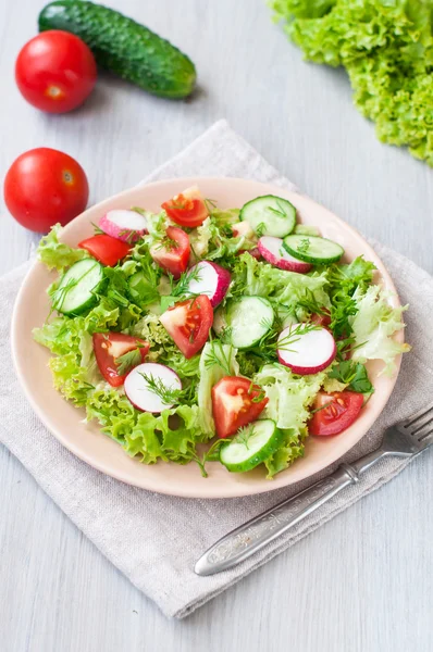 Tomato and cucumber salad with lettuce leafes — Stock Photo, Image