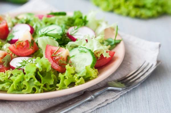 Tomato and cucumber salad with lettuce leafes — Stock Photo, Image