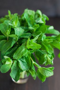 Tahta arka planda taze nane yaprakları