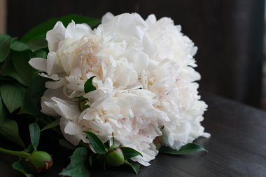 Rustik ahşap arka plan üzerinde beyaz peonies çarpıcı