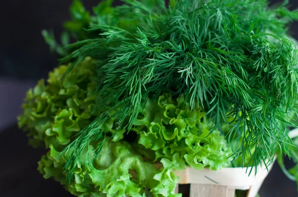 Verduras frescas con lechuga, menta, eneldo y perejil, cebolla de primavera — Foto de Stock