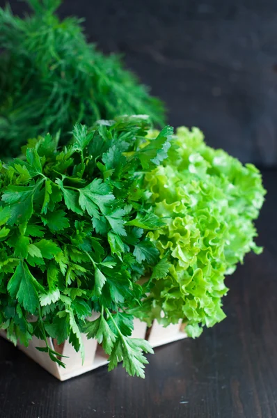 Verduras frescas con lechuga, menta, eneldo y perejil, cebolla de primavera — Foto de Stock