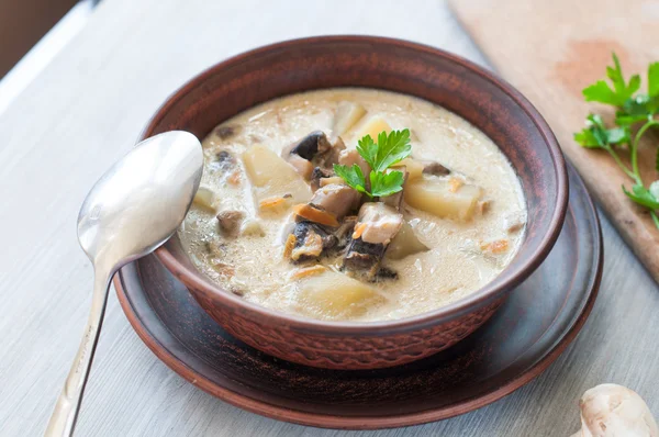 Bowl of vegetarian mushroom soup — Stock Photo, Image