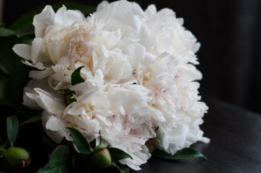 Rustik ahşap arka plan üzerinde beyaz peonies çarpıcı