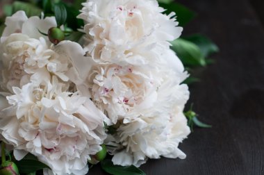 Rustik ahşap arka plan üzerinde beyaz peonies çarpıcı