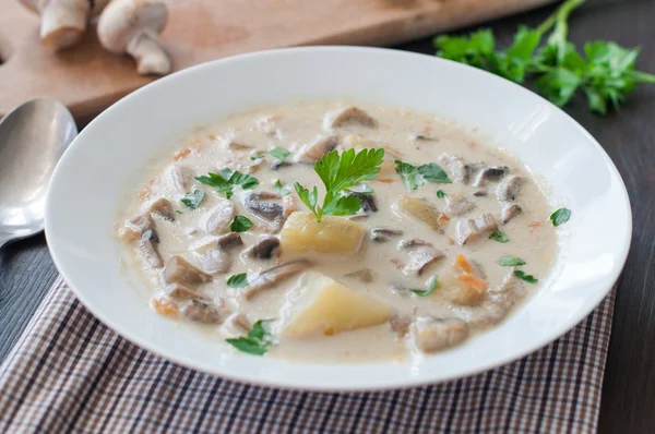 Plate of vegetarian mushroom soup — Stock Photo, Image