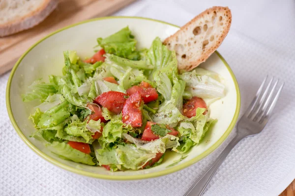 Salade aux feuilles de laitue, concombre et tomates — Photo