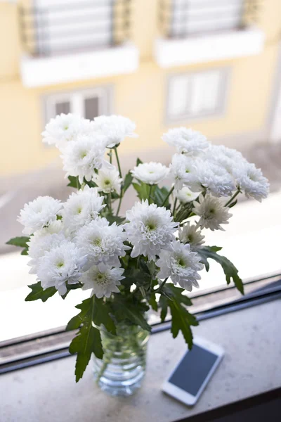 Fresh chrysanthemum in vase on the window sill — Stock Photo, Image