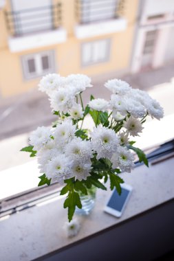 Pencere eşiğinde vazoda taze krizantem 