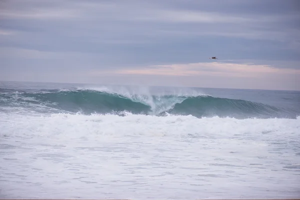 Ola estrellándose en una costa en Nazare, Portugal . — Foto de Stock