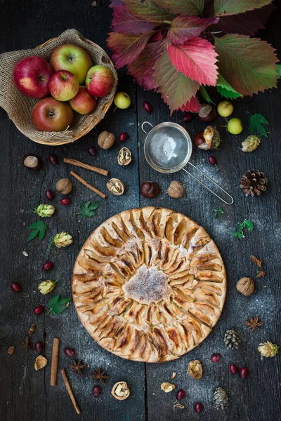 Homemade Organic Apple Pie Dessert Ready to Eat — Stock Photo, Image