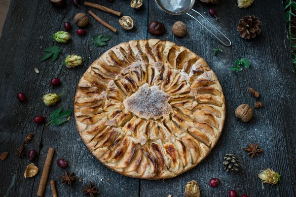 Homemade Organic Apple Pie Dessert Ready to Eat — Stock Photo, Image