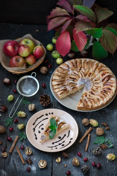 Slice of homemade apple pie with fresh apples — Stock Photo, Image