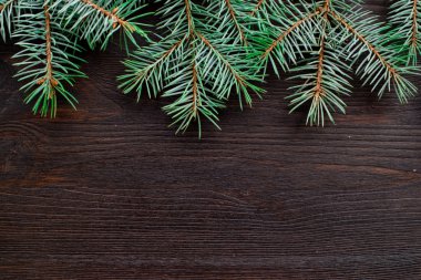 Noel ve yeni yıl dekorasyon arka plan kürk-ağaç dalları