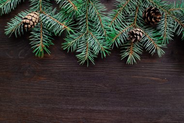 Noel ve yeni yıl dekorasyon arka plan kürk-ağaç dalları