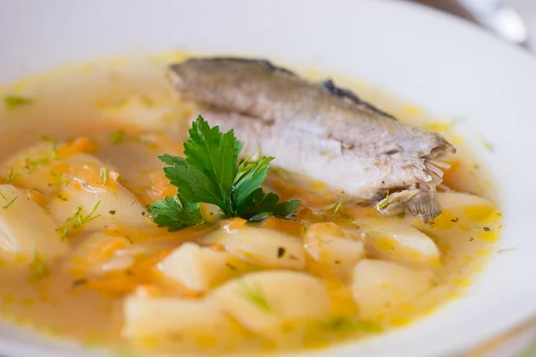 Fresh soup of river fish in the plate — Stock Photo, Image