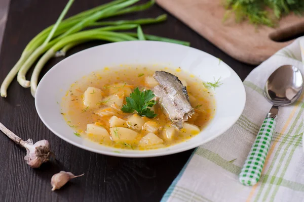 Fräsch soppa av floden fisk i plattan — Stockfoto